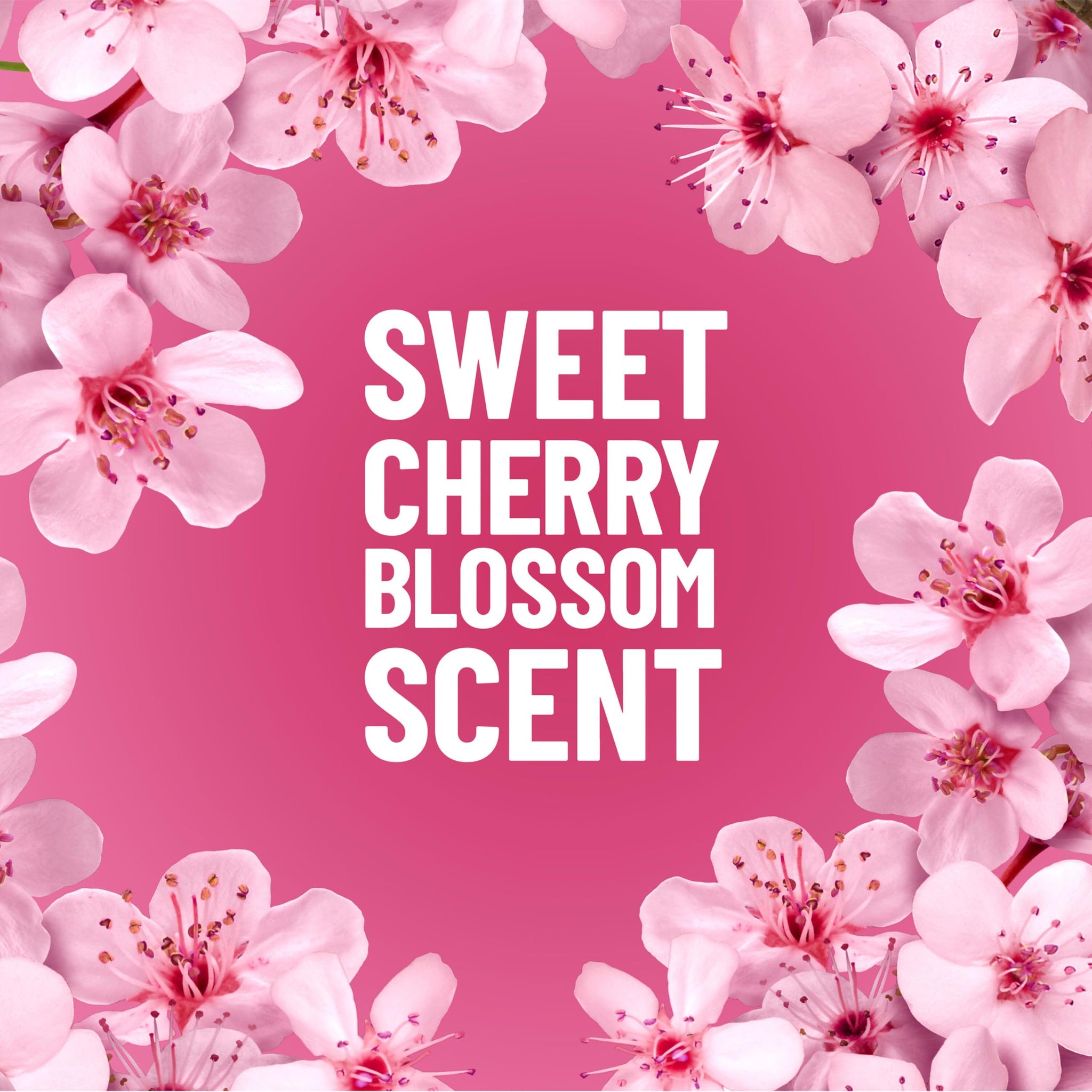 Pine-Sol Multi-Surface Cleaner, Cherry Blossom, 24 Fluid Ounces