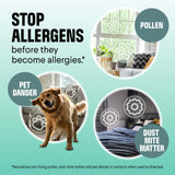 Clorox PURE Allergen Neutralizer Daily Air Spray, Clean Breeze, 8 Ounces
