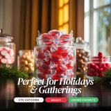 Sugar Free Cinnamon Hard Candy, 1 lb. Bag - Individually Wrapped Cinnamon Candy Discs, Old Fashioned Sugarless Candy for Candy Bowls, Office Snacks