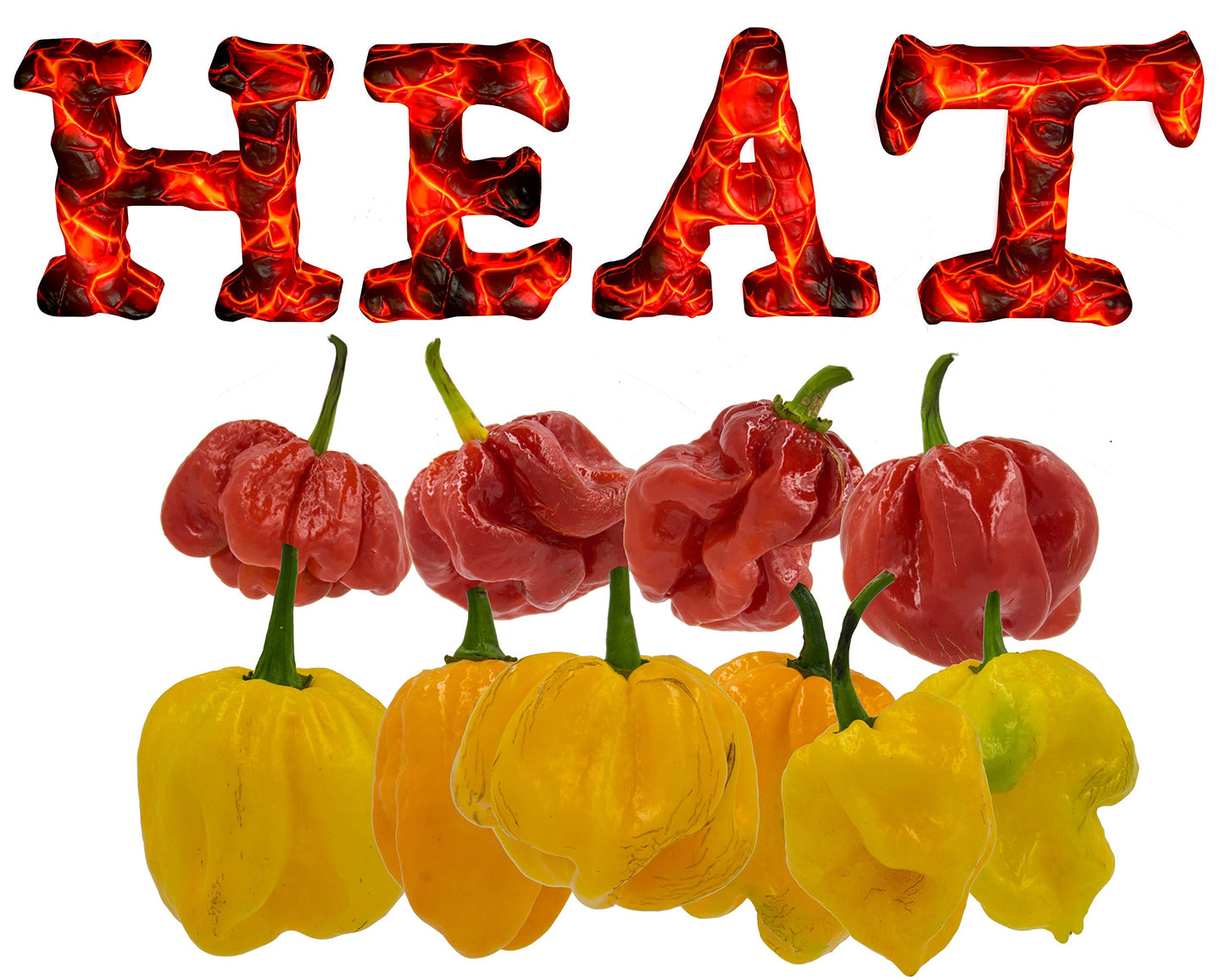 The Sizzler - Trinidad Scotch Bonnet Hot Pepper Sauce - 5 Oz/150ml
