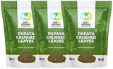 Papaya Leaf Tea 8 Oz, Dried from Fresh Green Leaves, Good to make Tea, 100% Loose Leaves(No Fruit, No Seeds) - Way4Organic (3 Pack(24 Oz))