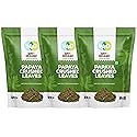 Papaya Leaf Tea 8 Oz, Dried from Fresh Green Leaves, Good to make Tea, 100% Loose Leaves(No Fruit, No Seeds) - Way4Organic (3 Pack(24 Oz))