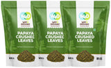 Papaya Leaf Tea 8 Oz, Dried from Fresh Green Leaves, Good to make Tea, 100% Loose Leaves(No Fruit, No Seeds) - Way4Organic (3 Pack(24 Oz))