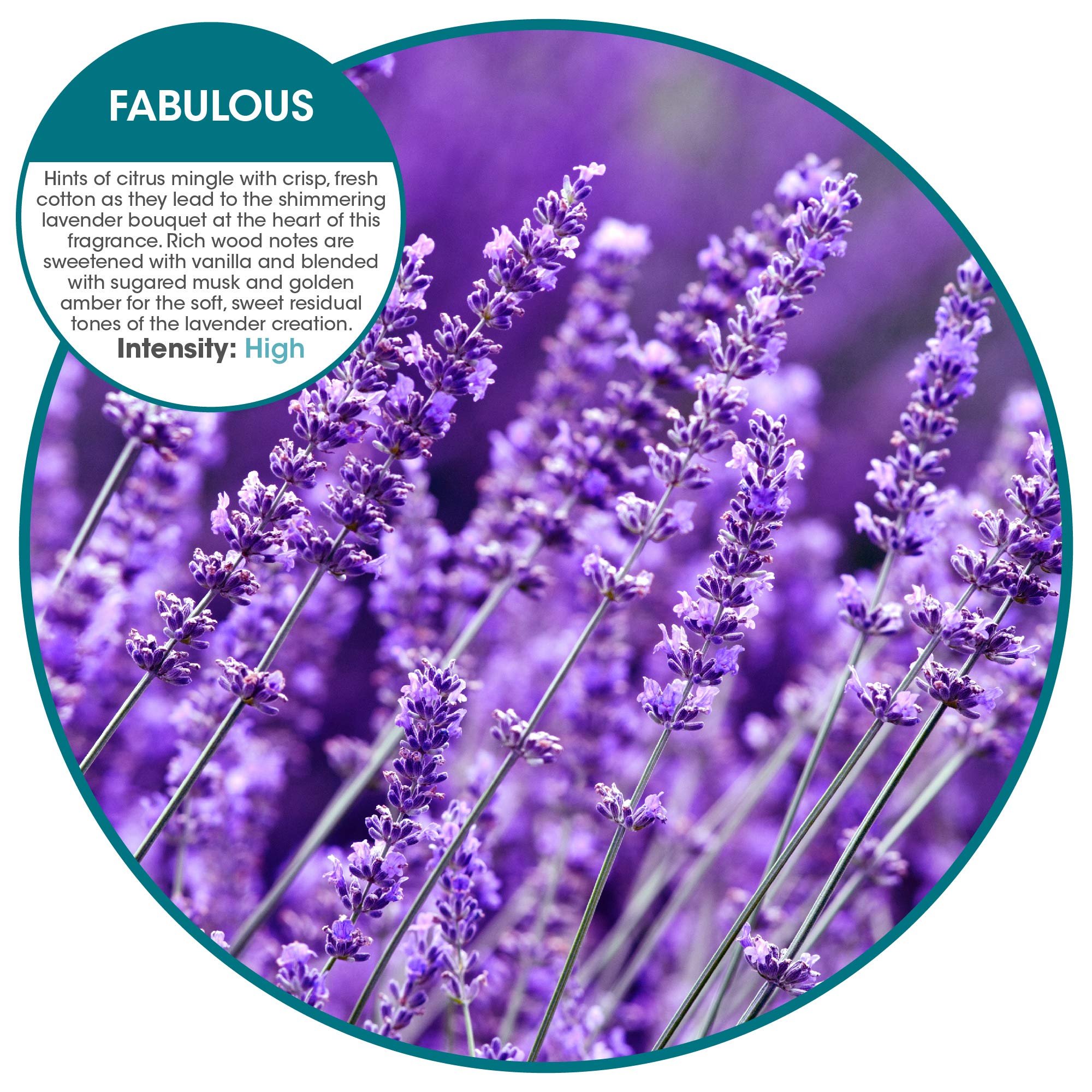 Fresh Products Eco Air Refill Air Freshener Dry Fragrance Technology Natural Oils No Acetone or Propellants Lasts 30 Days Eco Friendly Powerful