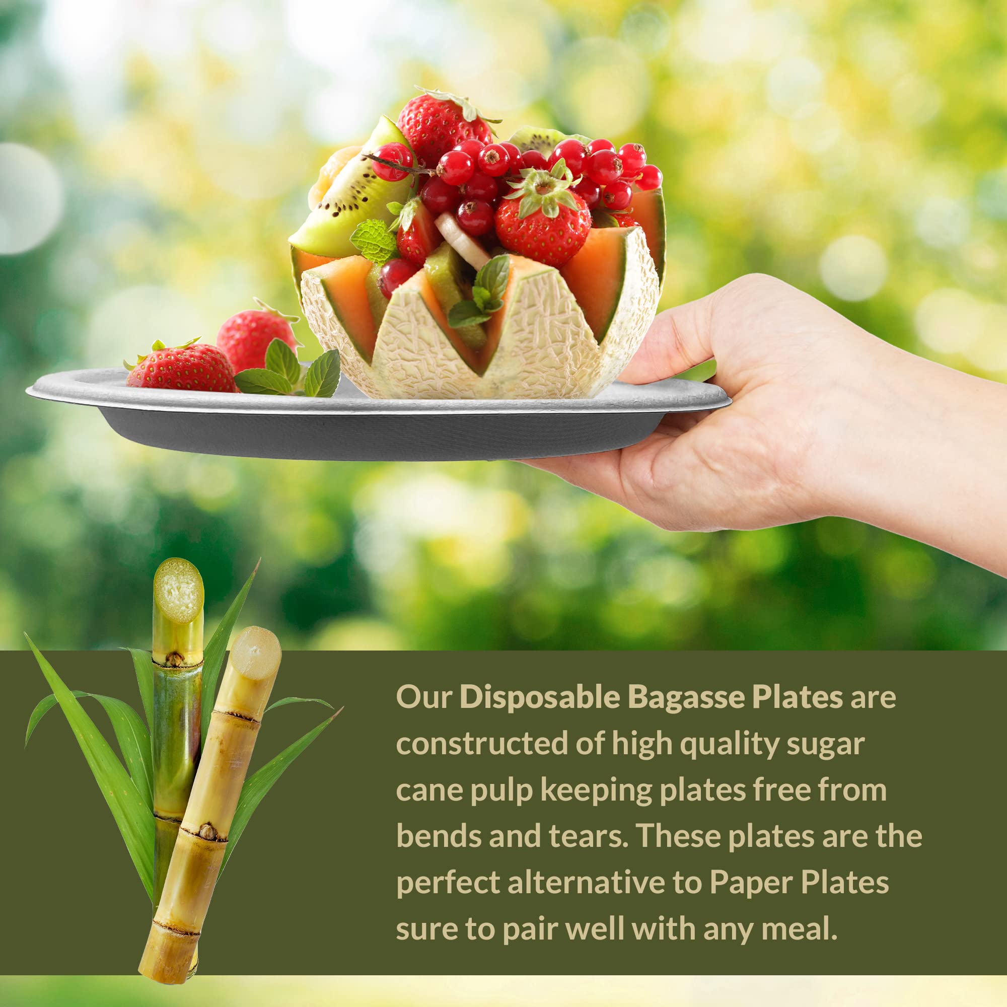 Reli. Compostable Paper Plates 9 Inch (140 Pack Bulk) White Disposable Plates 9" | Heavy Duty Paper, Eco-Friendly | Made of Sugarcane Fibers/Bagasse