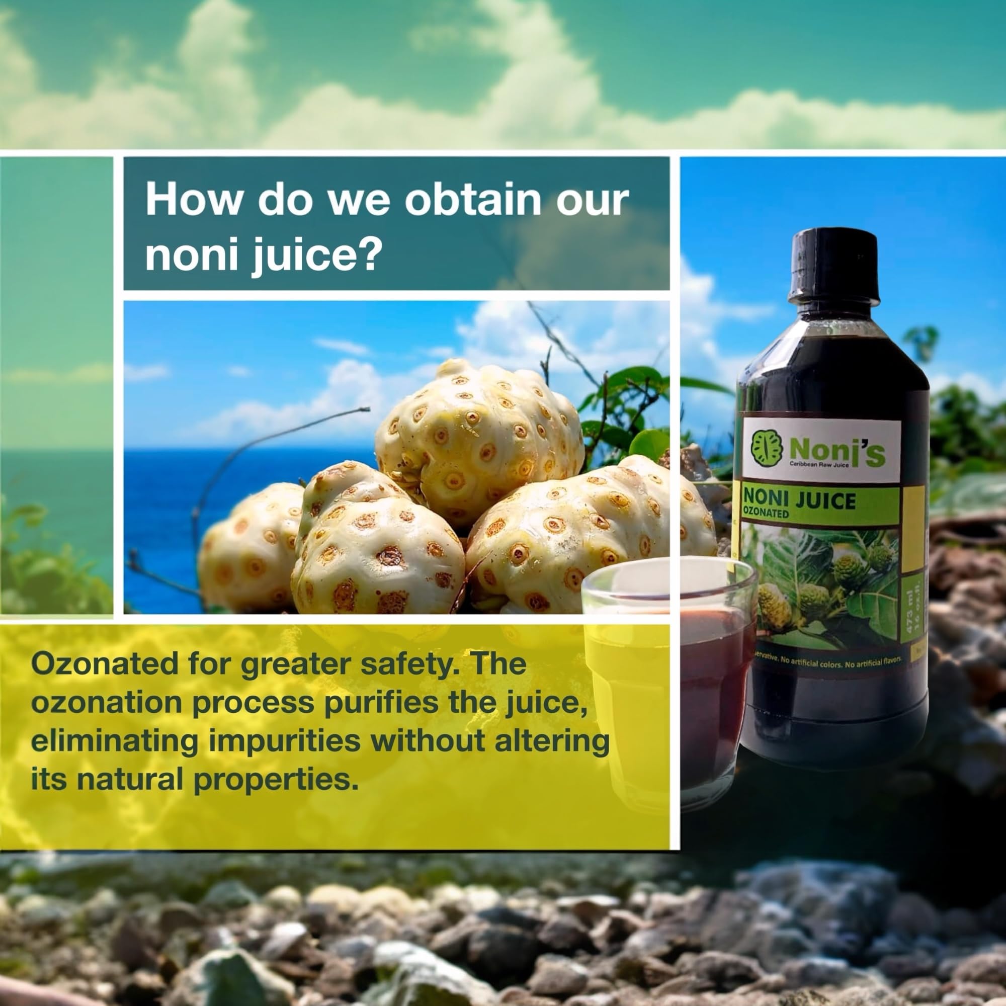 Frutos Pachamama Organic Noni Juice 100% Pure - Raw Ozonated Noni Extract from Dominican Republic | Natural Superfood Drink | Immune Booster