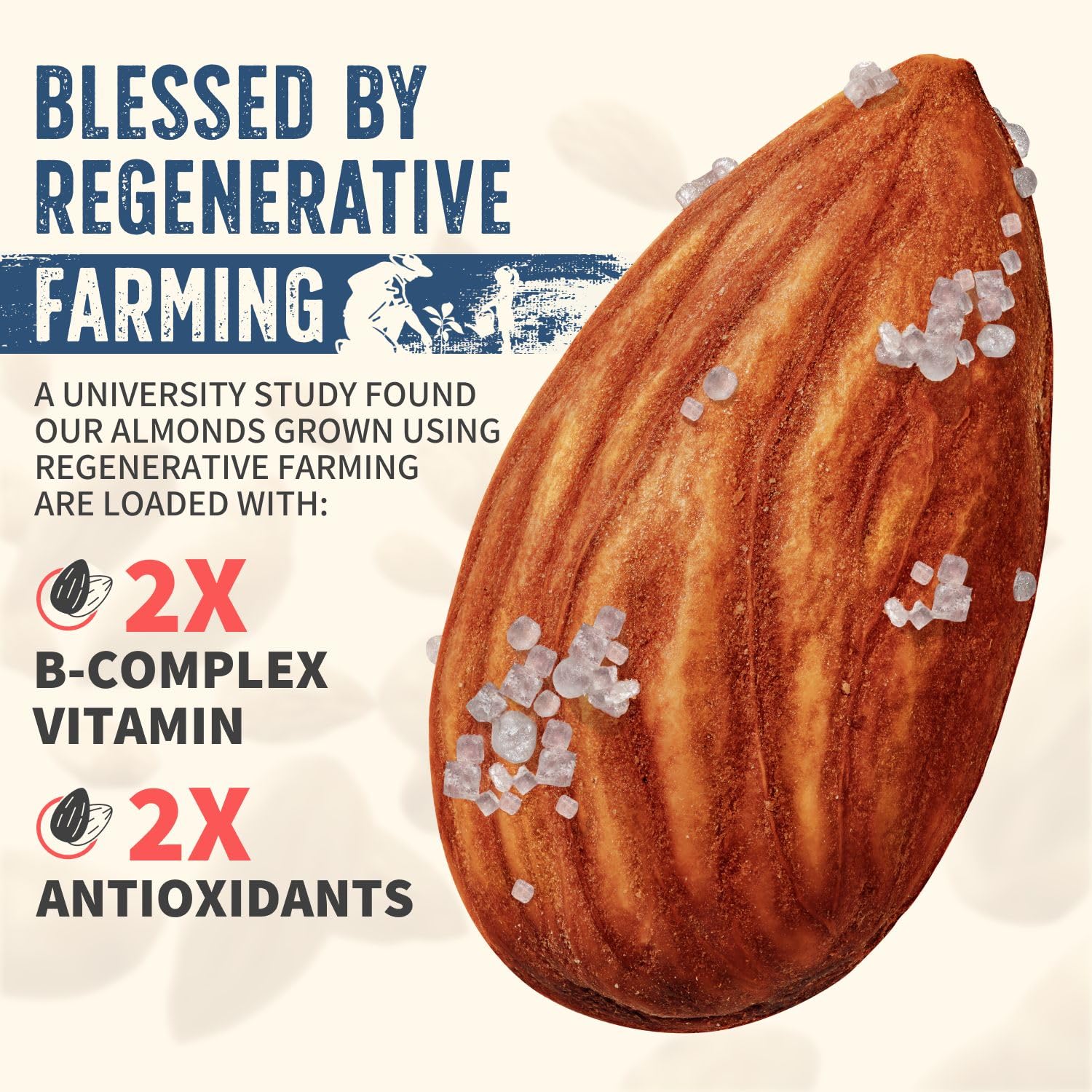 Burroughs Family Farms Roasted Salted Almonds 3 lb, Regenerative Organic and USDA Organic Certified, No Added Oils, Lightly Salted & Perfectly Dry