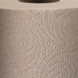 Envision High-Capacity Perforated Kitchen 2-Ply Paper Towels