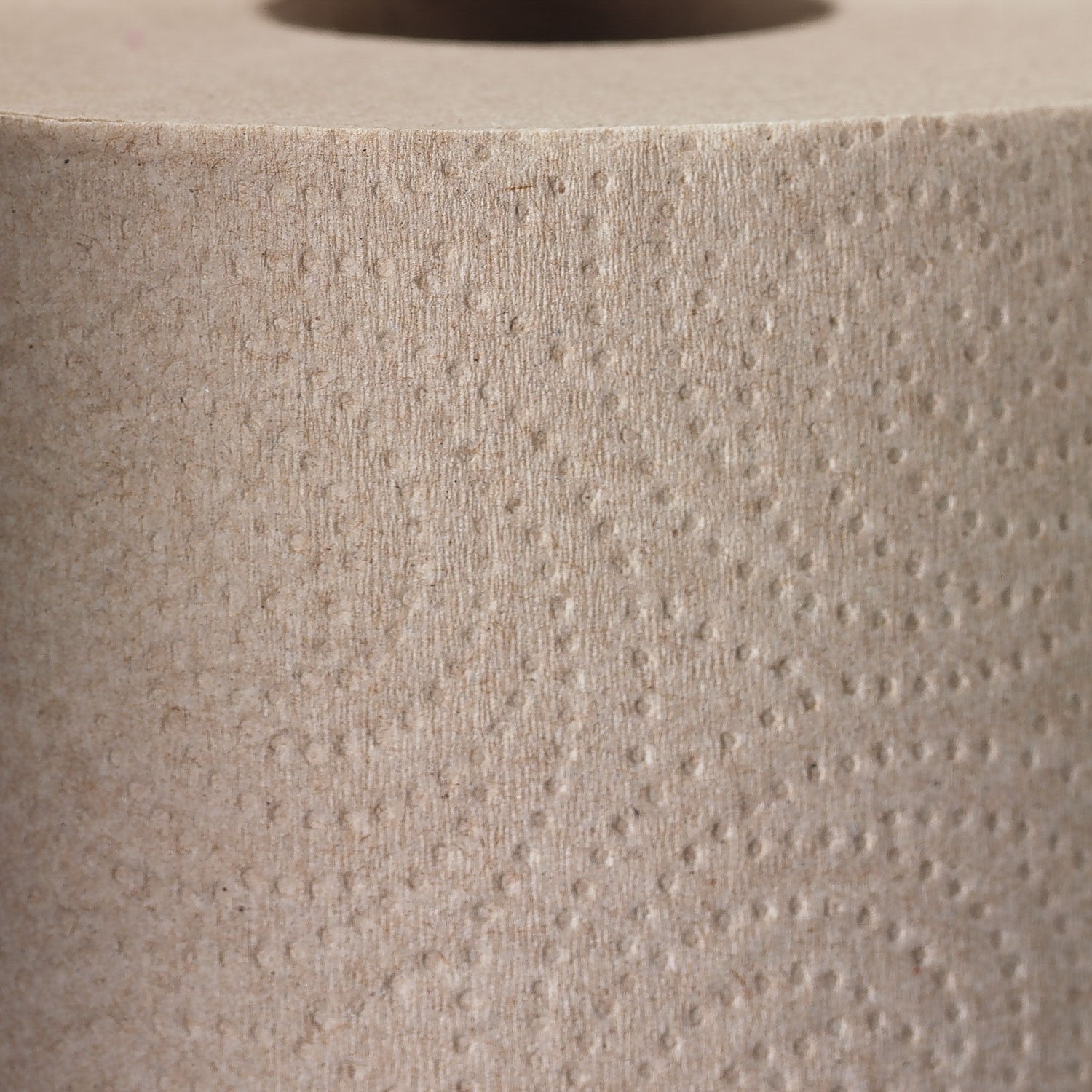 Envision High-Capacity Perforated Kitchen 2-Ply Paper Towels