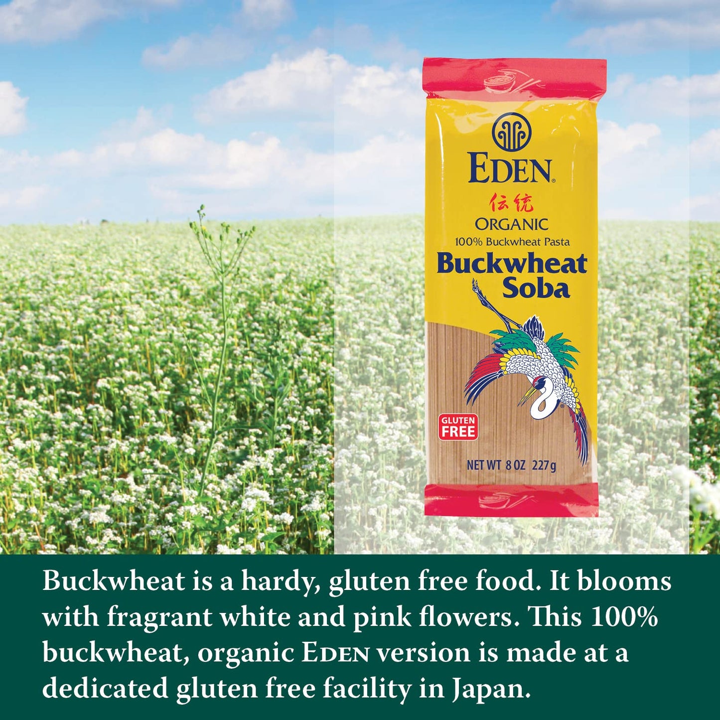 Eden, 100% Organic Buckwheat Soba Pasta, Gluten Free, Traditionally Made in Japan, 8 oz