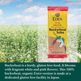 Eden Selected, 100% Whole Buckwheat Soba, 8-Ounce Bags (Pack of 12)12