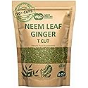 Neem Leaves Tea with Ginger 8 oz, Boost Immunity, Aid in Digestion, Caffeine Free, One Tea with Multiple Benefits (Pack of 1)