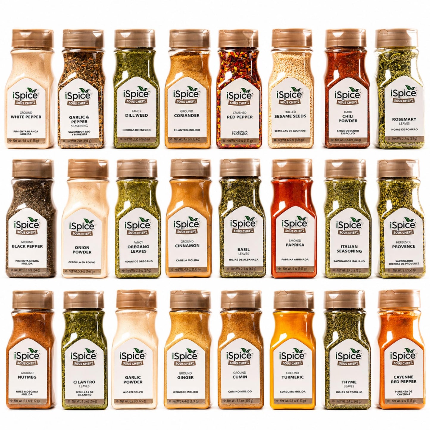 iSpice Spices and Seasonings Sets Starter Kitchen Set for Cooking - Spices Variety Pack Herb, & Seasoning |Gifts Home Basic Spice Set | 24 Pack