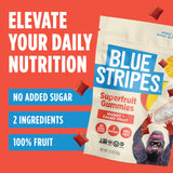 Blue Stripes Cacao Superfruit Gummies - Vegan Chewy Fruity Snack, No Sugar Added 100% Fruit Gummy, 9 Essential Vitamins & Minerals, Natural Tropical