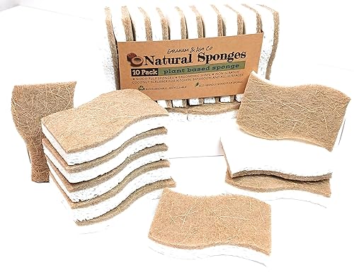 Graham & Ash Co Natural Kitchen Sponge - Biodegradable Compostable Cellulose and Coconut Scrubber - Pack of 10 Eco Friendly Sponges