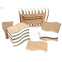 Graham & Ash Co Natural Kitchen Sponge - Biodegradable Compostable Cellulose and Coconut Scrubber - Pack of 10 Eco Friendly Sponges