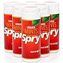 Spry Xylitol Cinnamon Mints Sugar Free Candy - Promote Oral Health, Increase Saliva Production, Stop Bad Breath, Non-GMO, Gluten-Free, 45 Count (Pack