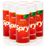 Spry Xylitol Cinnamon Mints Sugar Free Candy - Promote Oral Health, Increase Saliva Production, Stop Bad Breath, Non-GMO, Gluten-Free, 45 Count (Pack