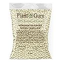 Moringa Seeds Kernel Shelled 5 lbs. Bulk - Clean PKM1 Variety - Edible - Moringa Oleifera - Malunggay - Semillas De Moringa - Drumstick Tree - Non-GMO