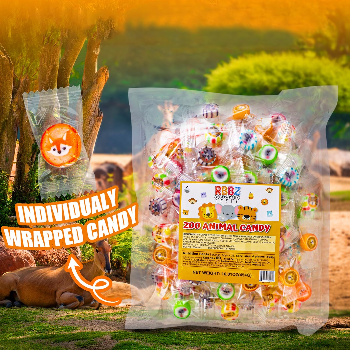 Animal Candy - Hard Candy Bulk 1 lb Bag of Individually Wrapped Small Hard Candies Assortment - Great for Office Candy - Safari Party Favors - Cute