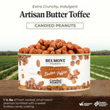 Belmont Peanuts Gourmet Butter Toffee Candied Peanuts, 20 oz (1 Pack) - Only 4 Ingredients, No Preservatives, 3g Protein - A Premium, Sweet, Buttery