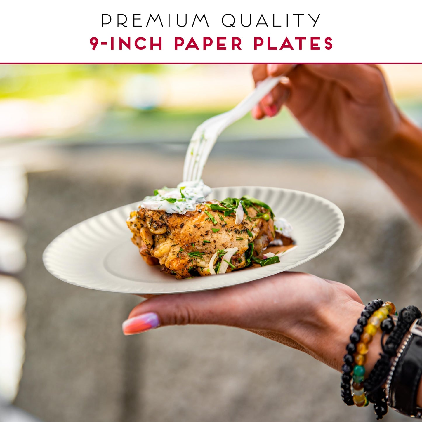 Alitte 9-Inch Disposable Paper Plates - 500 Count - Bulk Pack of Uncoated Paper Plates for Everyday Use - Dinnerware for Meals, Parties And Picnics