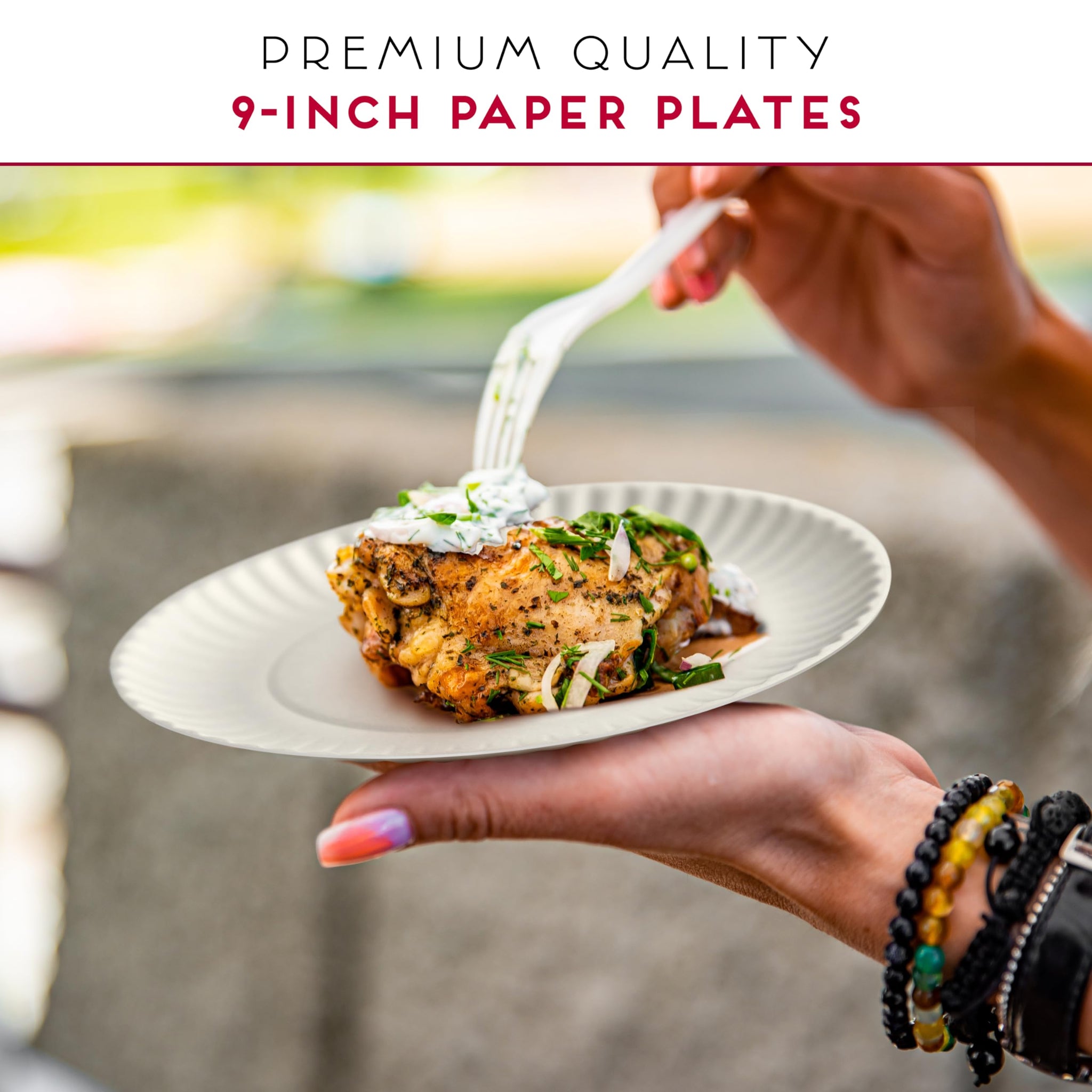 Alitte 9-Inch Disposable Paper Plates - 500 Count - Bulk Pack of Uncoated Paper Plates for Everyday Use - Dinnerware for Meals, Parties And Picnics