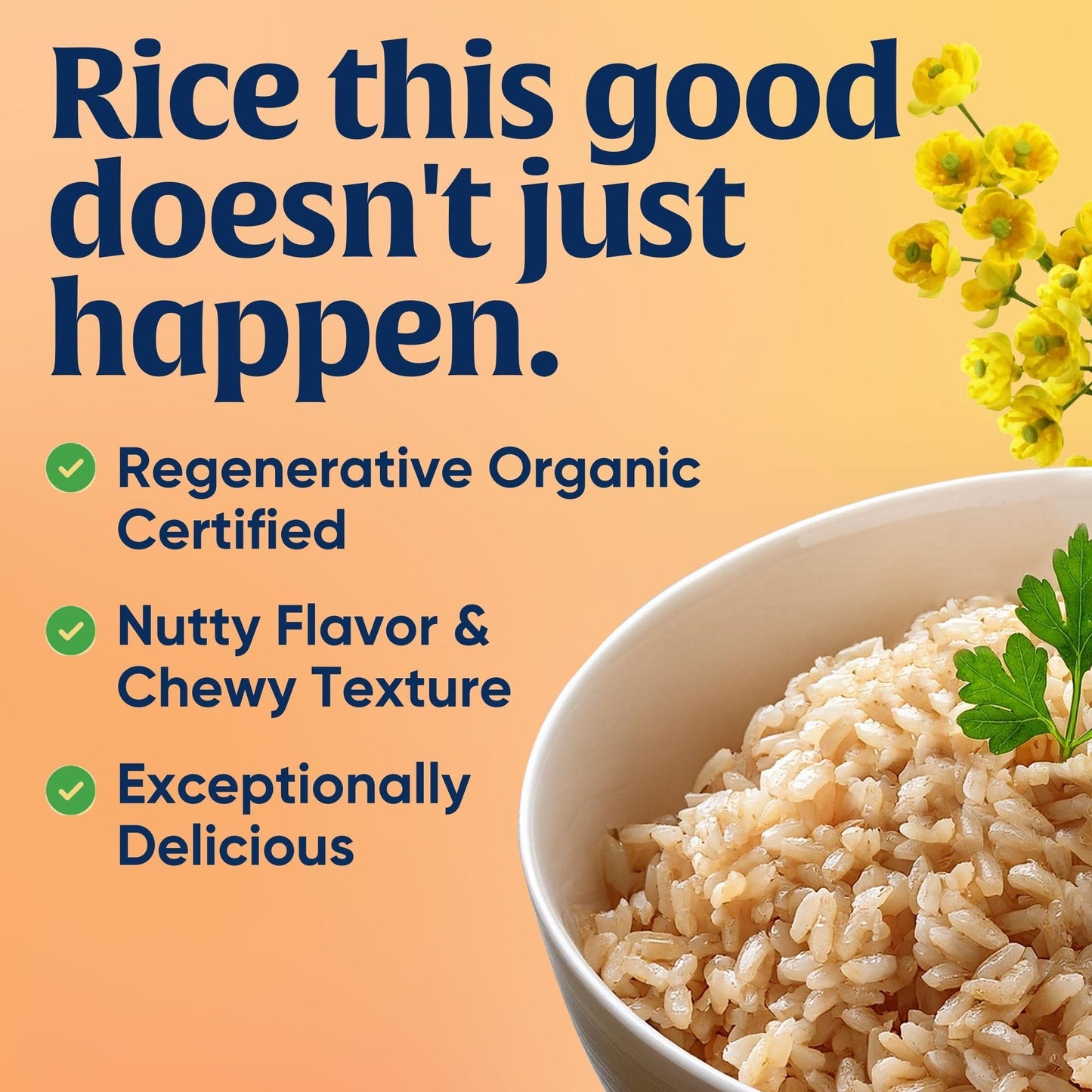 Lundberg Short Grain Brown Rice, Regenerative Organic Certified - Slightly Nutty, Sticky Rice Responsibly Grown in California, 32 Oz