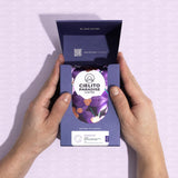 Cielito Paradise Castillo Coffee - Medium Roast Whole Bean from Huila Colombia, Silky with Milk Chocolate, Panela, Cinnamon & Orange, 12oz