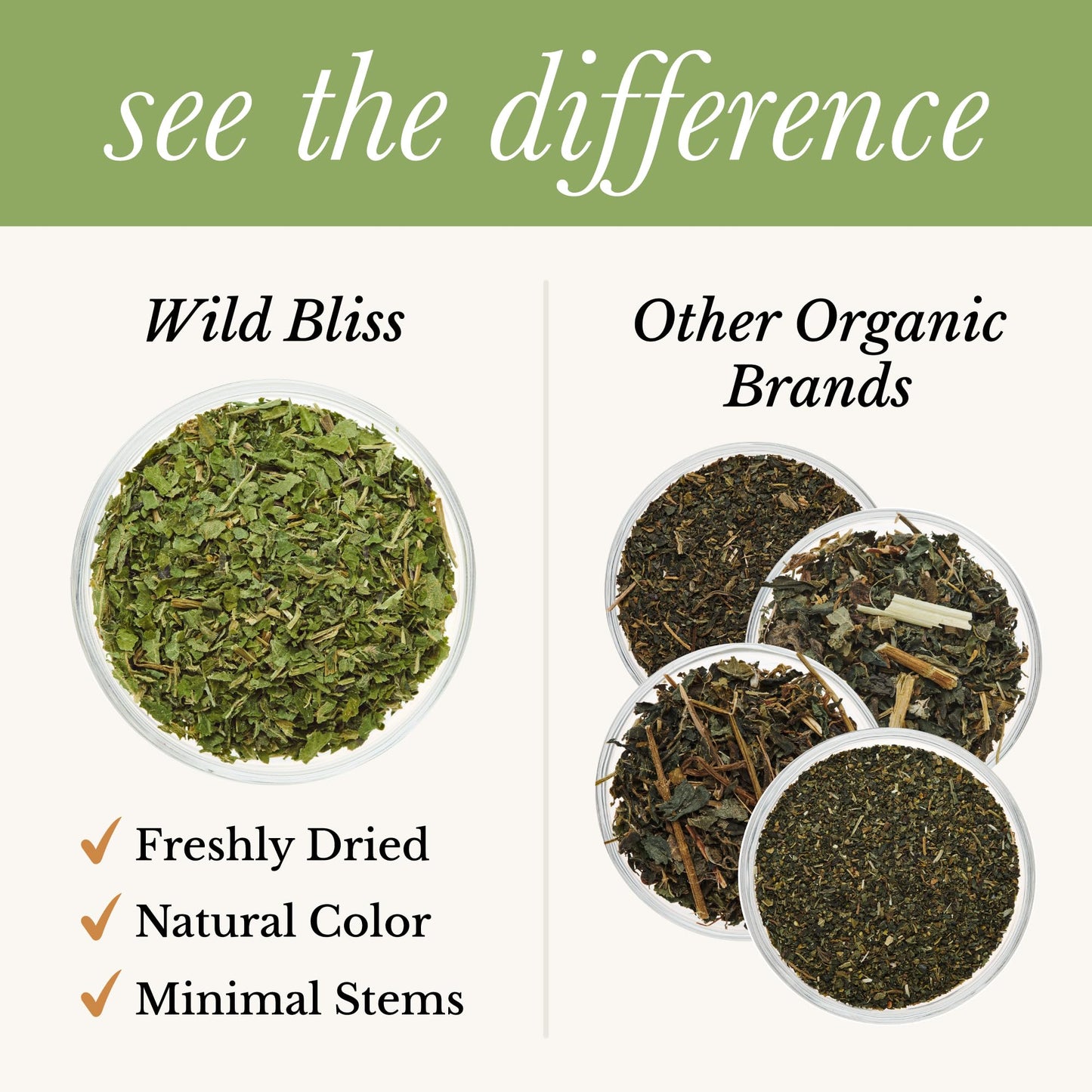 Wild Bliss Organic Wild Stinging Nettle Leaf Tea - Caffeine Free Urinary Tract Herbal Support - Pharmacopoeia Potency - 20 Plant Based Tea Bags