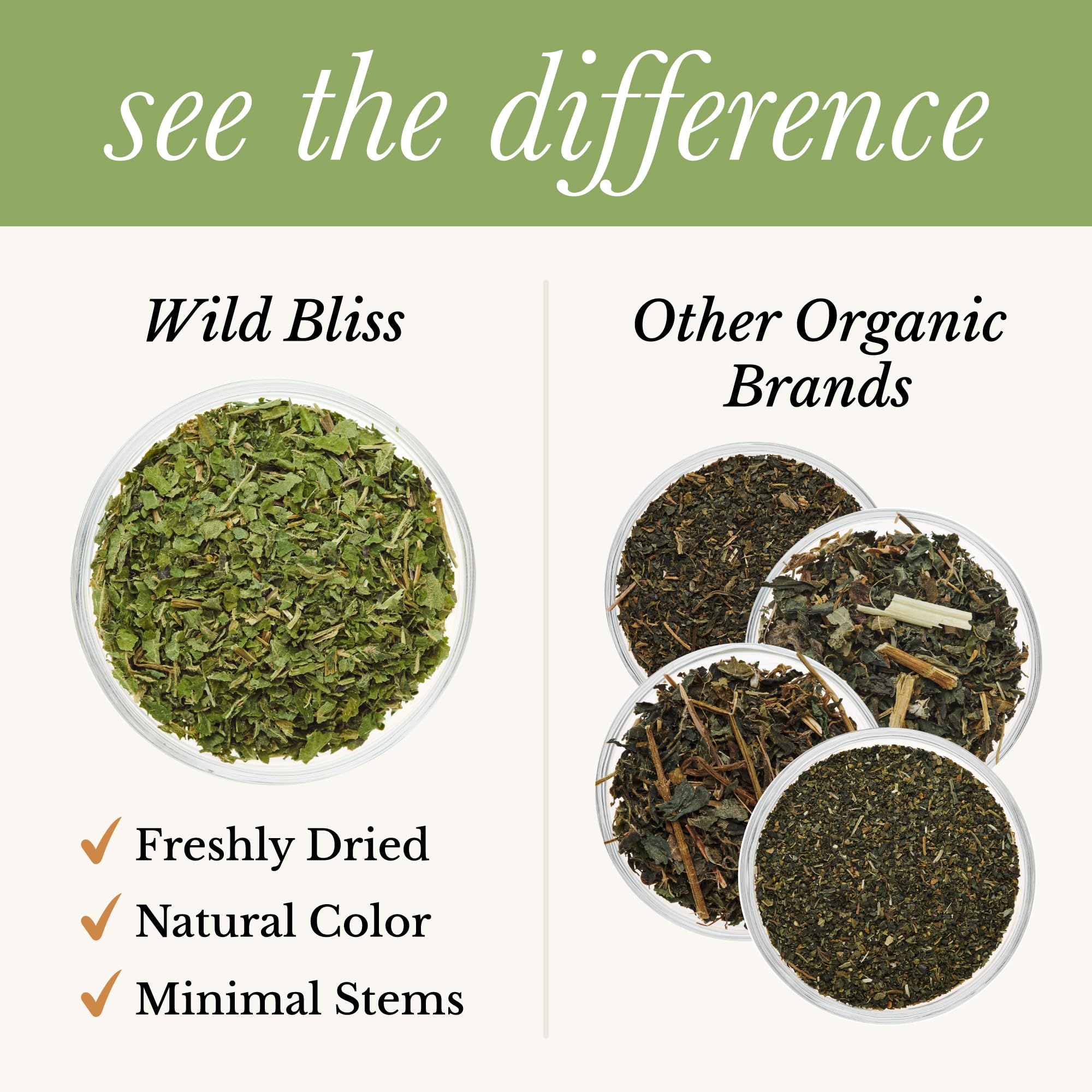 Wild Bliss Organic Wild Stinging Nettle Leaf Tea - Caffeine Free Urinary Tract Herbal Support - Pharmacopoeia Potency - 20 Plant Based Tea Bags