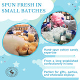 CHOCOLATE STORYBOOK Gourmet Flavored Cotton Candy - Unique Idea for Holidays, Birthdays, Gag Gifts, Party Favors (Juicy Watermelon, 1.75 oz, 2-Pack)
