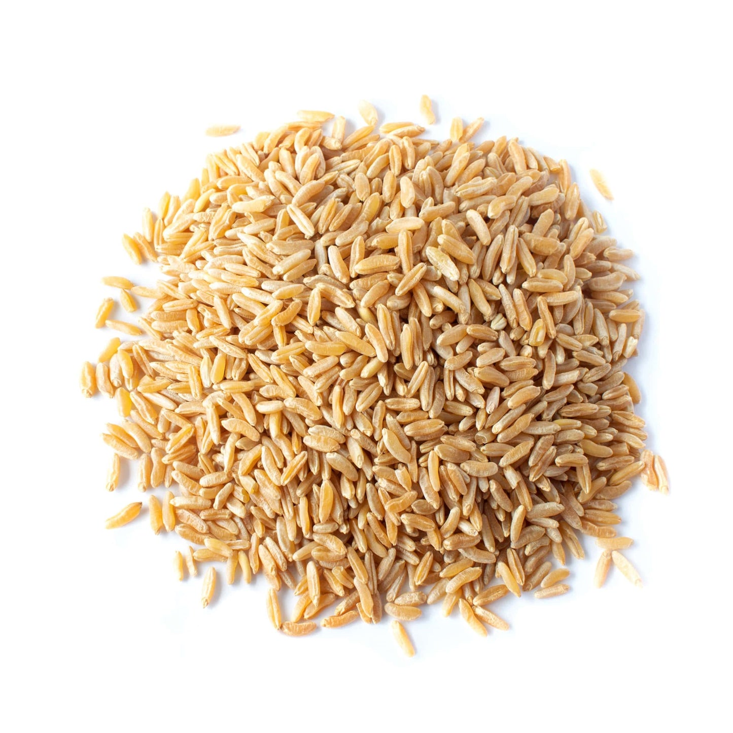 Food to Live Organic KAMUT Khorasan Wheat Berries, 3 Pounds - 100% Whole Grain, Sproutable for Wheatgrass, Non-GMO, Kosher, Bulk