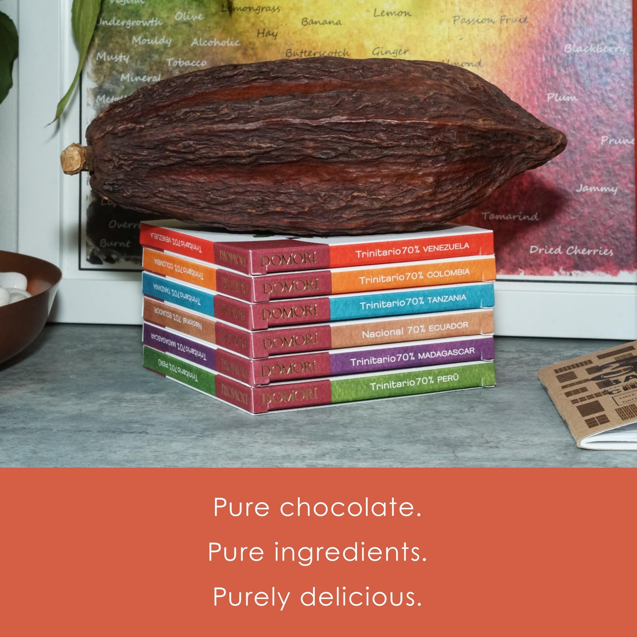 Domori Trinitario Bundle | Vegan, Soy Free, Gluten Free | 1.8oz Bars, 6-Pack