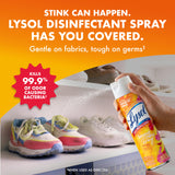 Lysol Disinfectant Spray, Household Cleaning Supplies, Disinfecting Multi-Purpose Room Spray, Antibacterial Sanitizer, Deodorizer, Kills Hantavirus