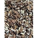 Hickory Nuts Direct Raw Shelled Hickory Nuts 3 Ounces