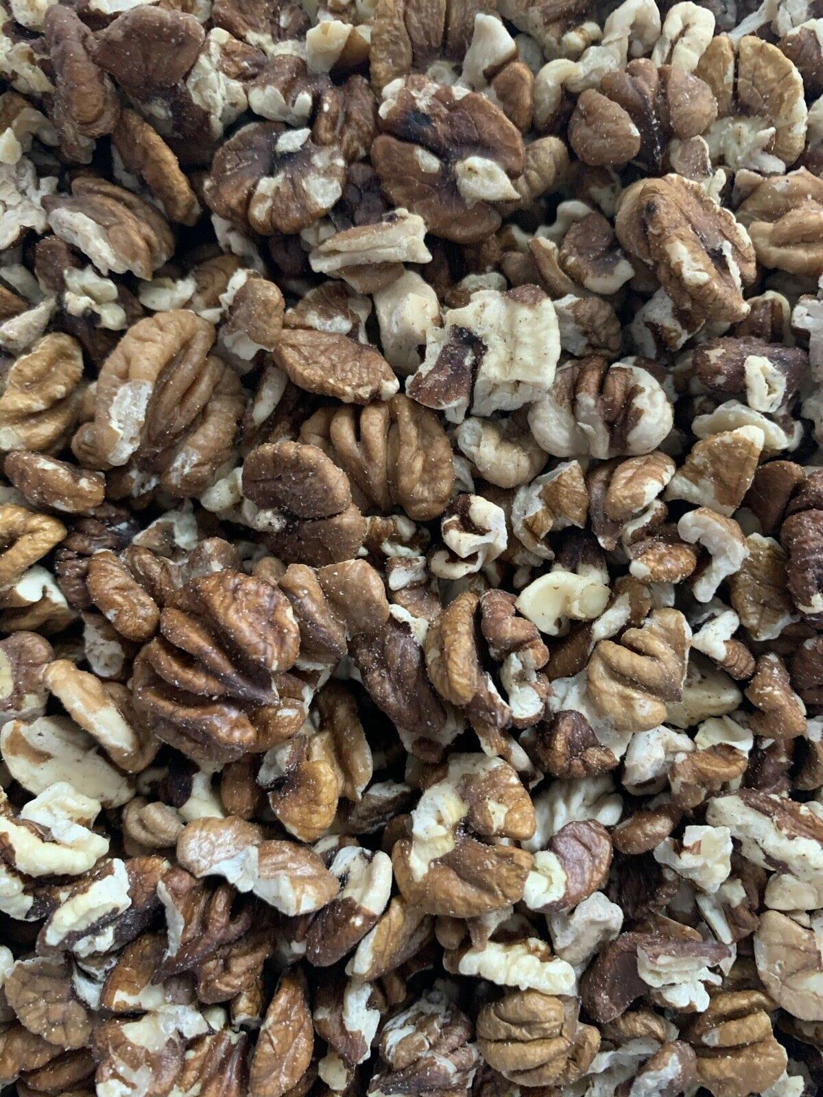 Hickory Nuts Direct Raw Shelled Hickory Nuts 3 Ounces