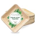 6 Inch Square Palm Leaf Dessert Plates -Bamboo Plates for Appetizers - Compostable and Eco-Friendly- Pack of 100ct