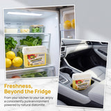 Diatomaceous Earth Gel Refrigerator Deodorizer, More Effective than Activated Charcoal and Baking Soda, Nature-Based Fridge Deodorizer, Eliminates
