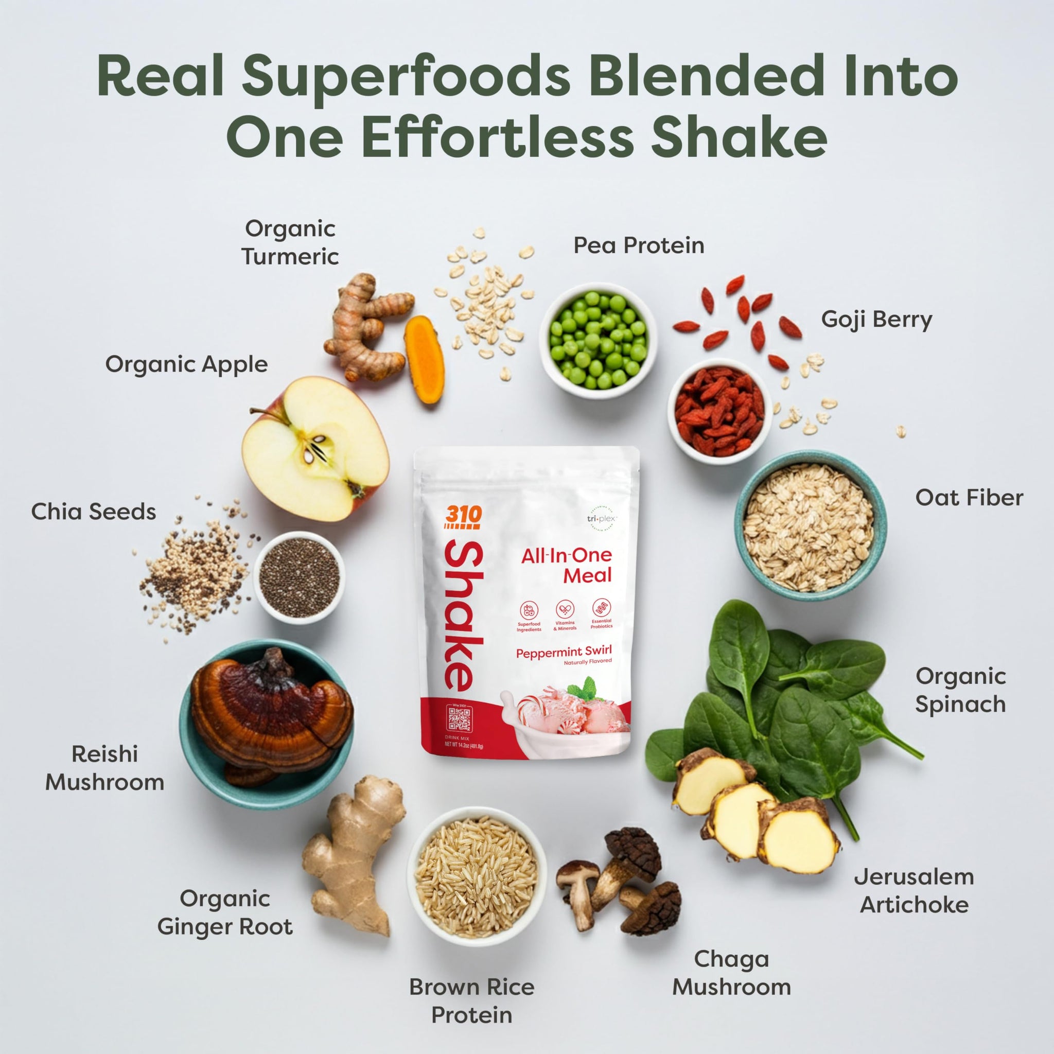310 Nutrition All-in-One Meal Replacement Shake - Plant-Based Protein Powder with Triplex Proteins, Probiotics, Digestive Enzymes & Superfoods