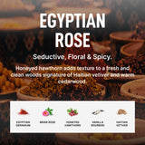 Laundry Sauce Fabric Refresher Spray Egyptian Rose, Odor-Fighting Fabric Refresher, Fragrance and Laundry Scent, 9.8 fl oz