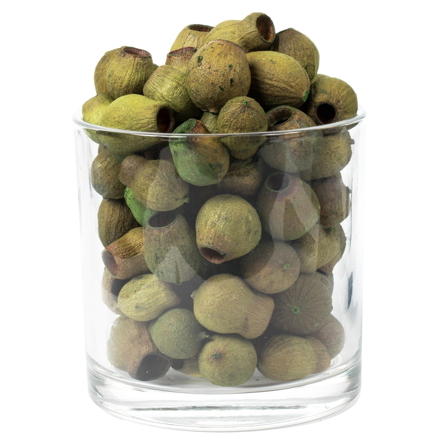 Vickerman 648643-1" (App) Basil Bell Gum Pods 2.2 lbs/Bg (H1BGB100) Dried and Preserved Foliage