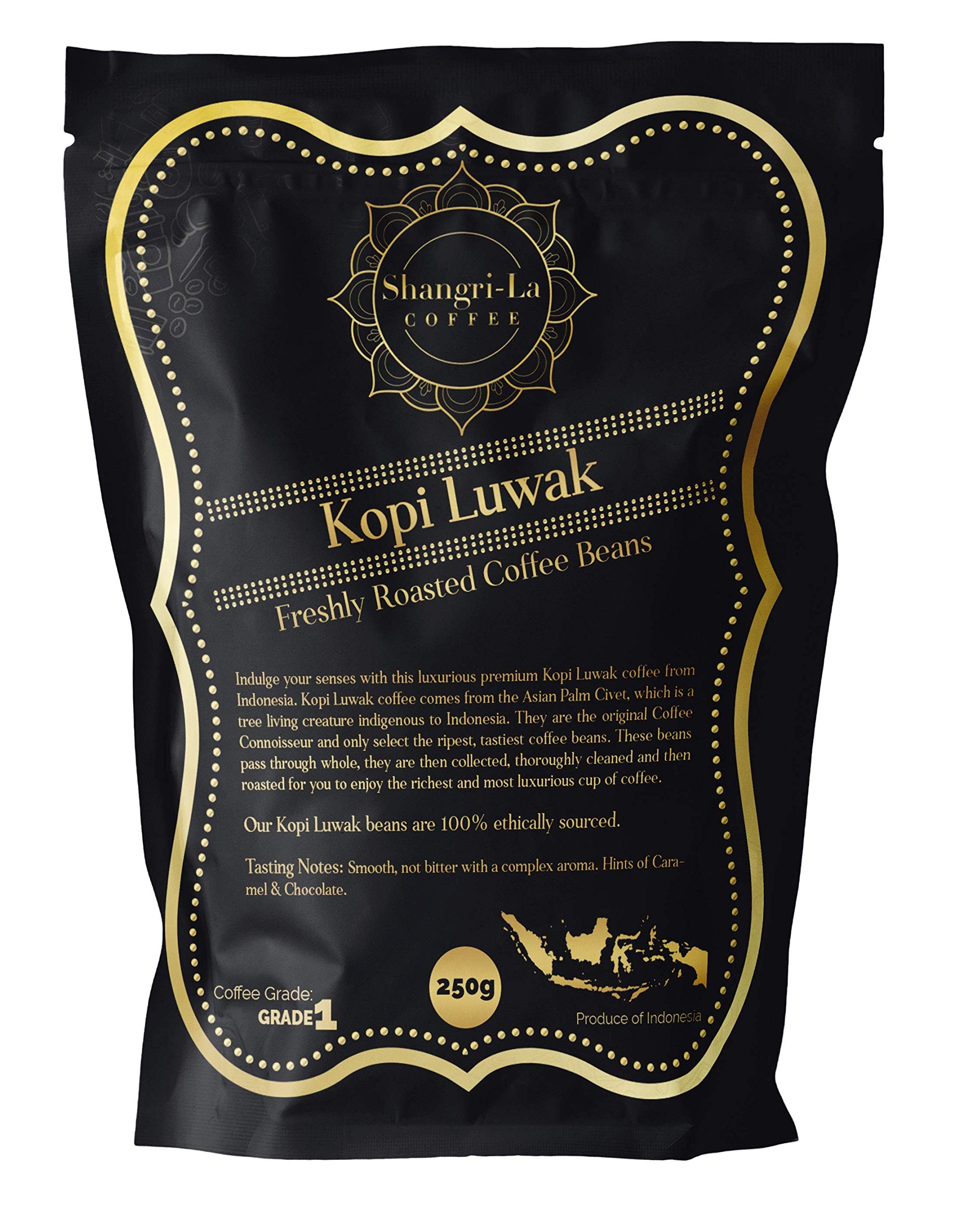 Shangri-La Coffee - Wild Kopi Luwak Coffee Whole Beans - Ethically Sourced - 250 Grams (8.8oz) (Other Weights & Bean Types Available) - Produce