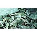 85g /3 0z FIG Leaf Cut Leaves Detox FICUS CARICA Dried HERB Organic Tea