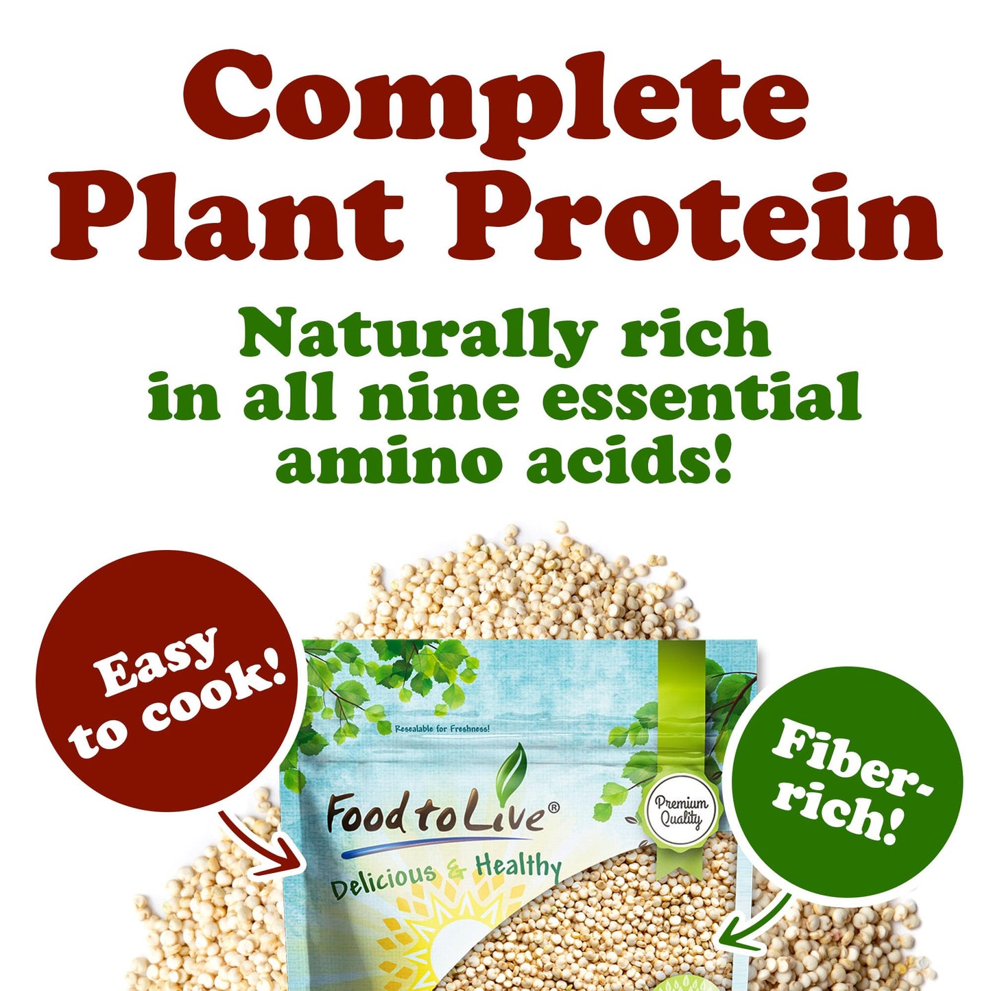 Food to Live White Quinoa, 12 Ounces- All Natural Whole Grain, Perfect for Salads, Soups, Quick and Easy to Cook, Meal Prep, Rice Substitute, Vegan, Kosher, Bulk