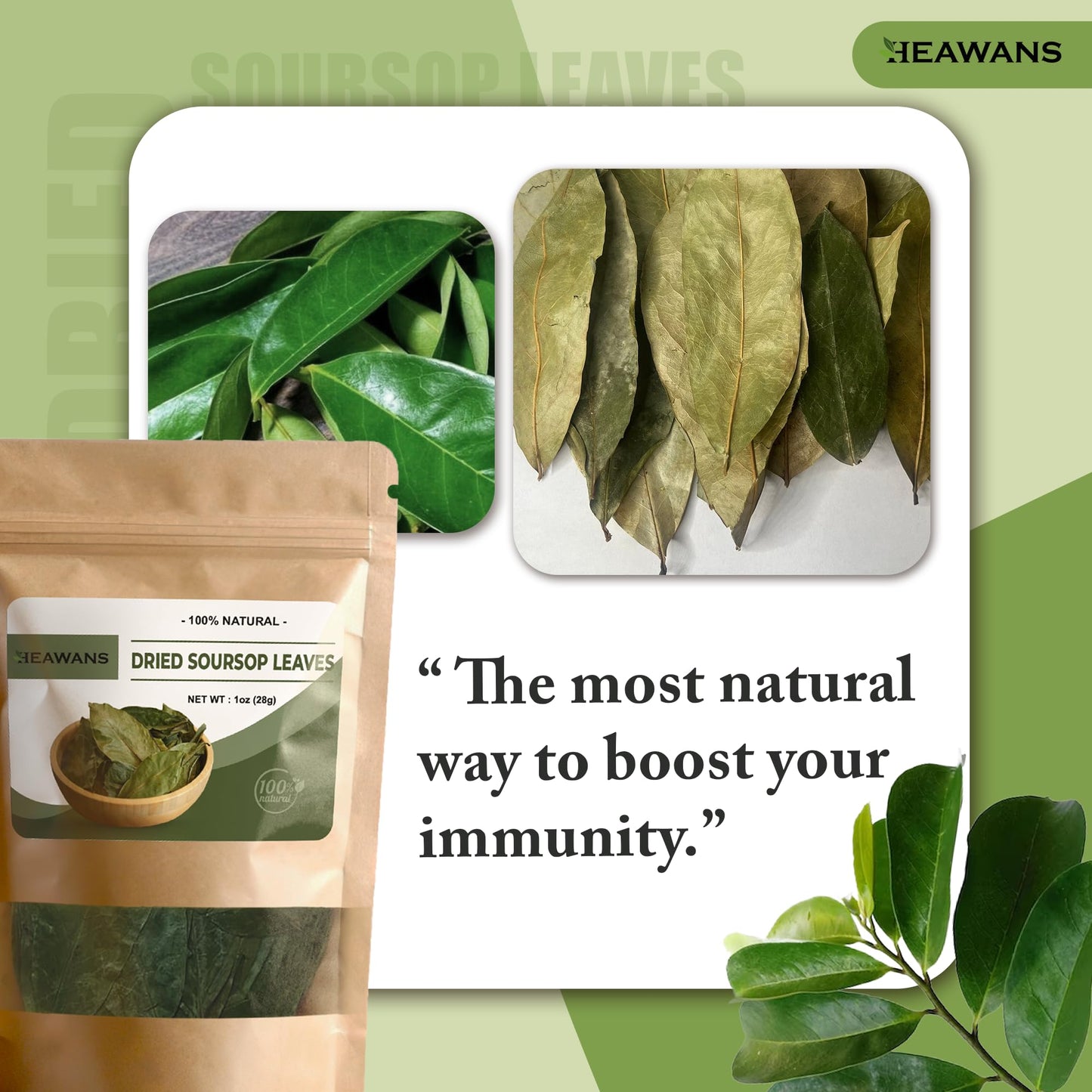100% Natural Dried Soursop Leaves From Ceylon Sri Lanka 1oz (28g)