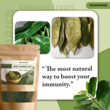 100% Natural Dried Soursop Leaves From Ceylon Sri Lanka 1oz (28g)