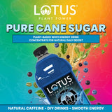 Blue Lotus Plant Power® Energy Drink Concentrate | Natural Caffeine & PP7™ Formula | Plant-Based Organic Ingredients | Organic Cane Sugar Beverage |