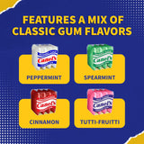 Canel’s Assorted Chewing Gum, 4 Piece Packs in Original Flavors, for Parties and Candy Bars, 60 Count (Pack of 1)