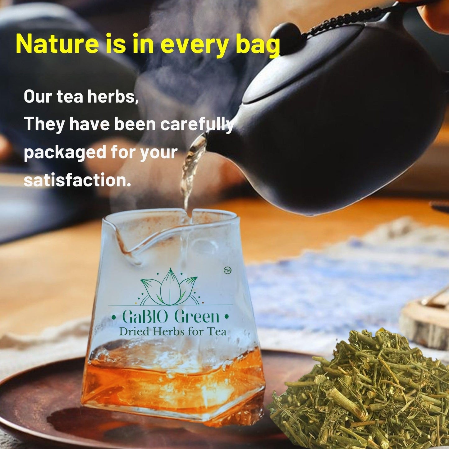 RUE Dried Herbs Ruda Seca, Ruda Graveolens, rue leaves and branches Dried Rue Leaves (Ruta graveolens) | Raw Herbal Ingredient (2 Ounce)